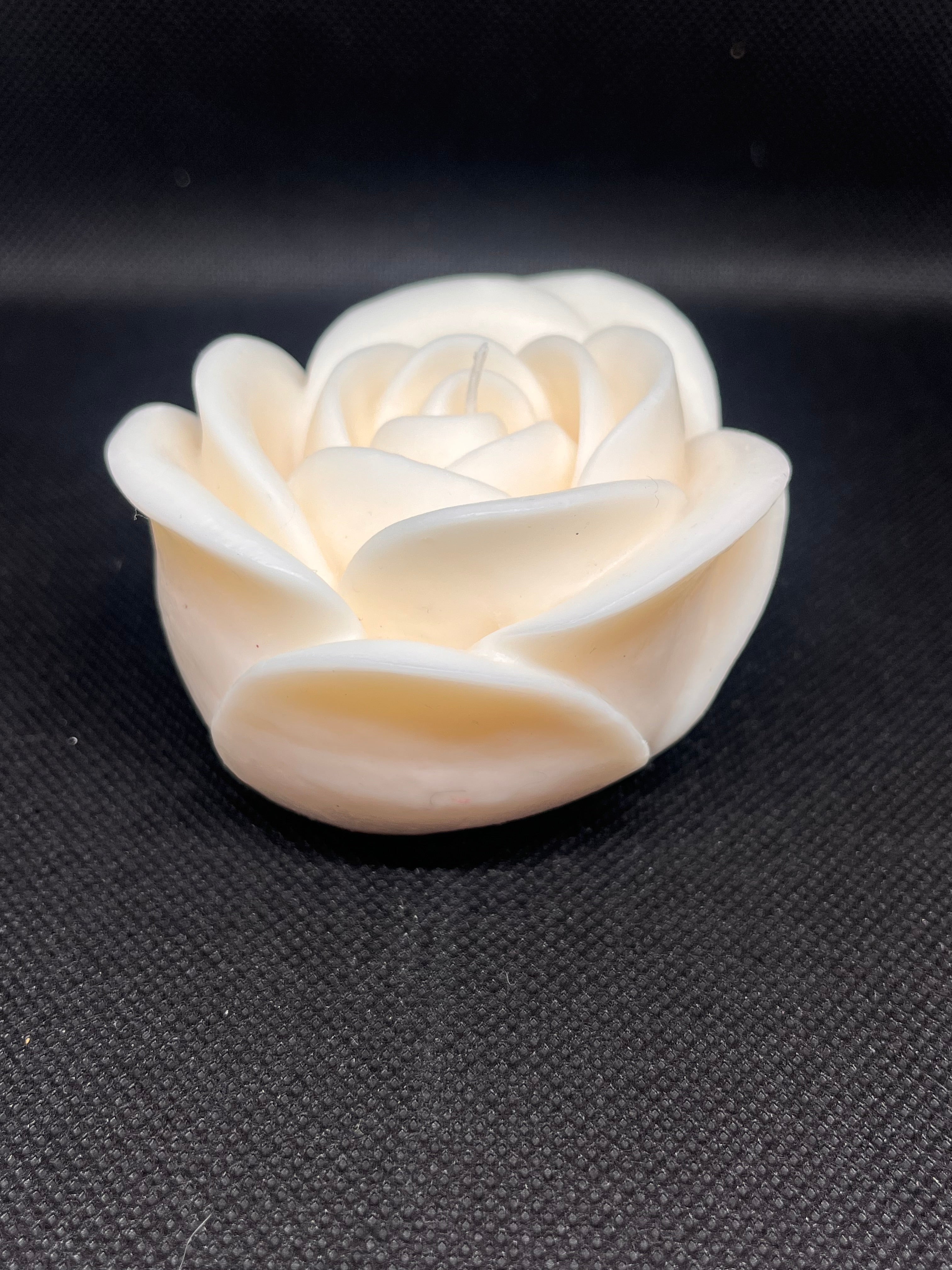 Rose éternelle